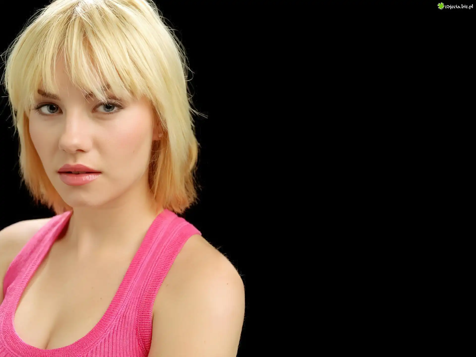 Elisha Cuthbert
