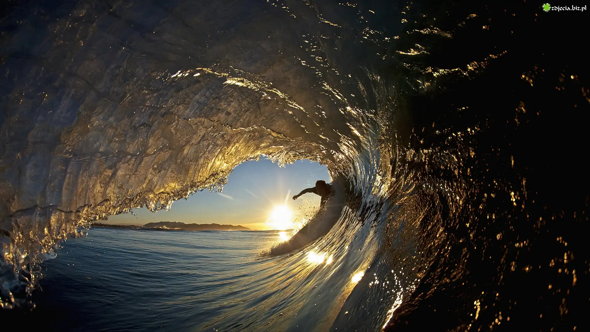 Fala, Surfing