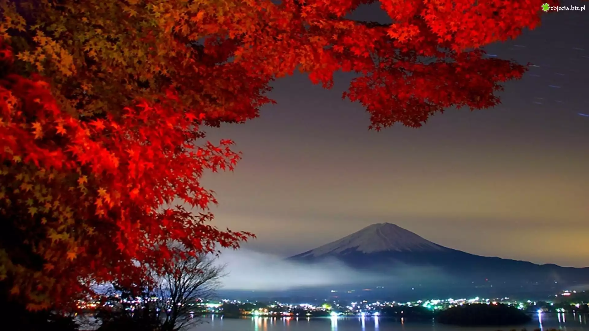 Japonia, Wulkan Fudżi, Oświetlone Miasto, Natura, Drzewo