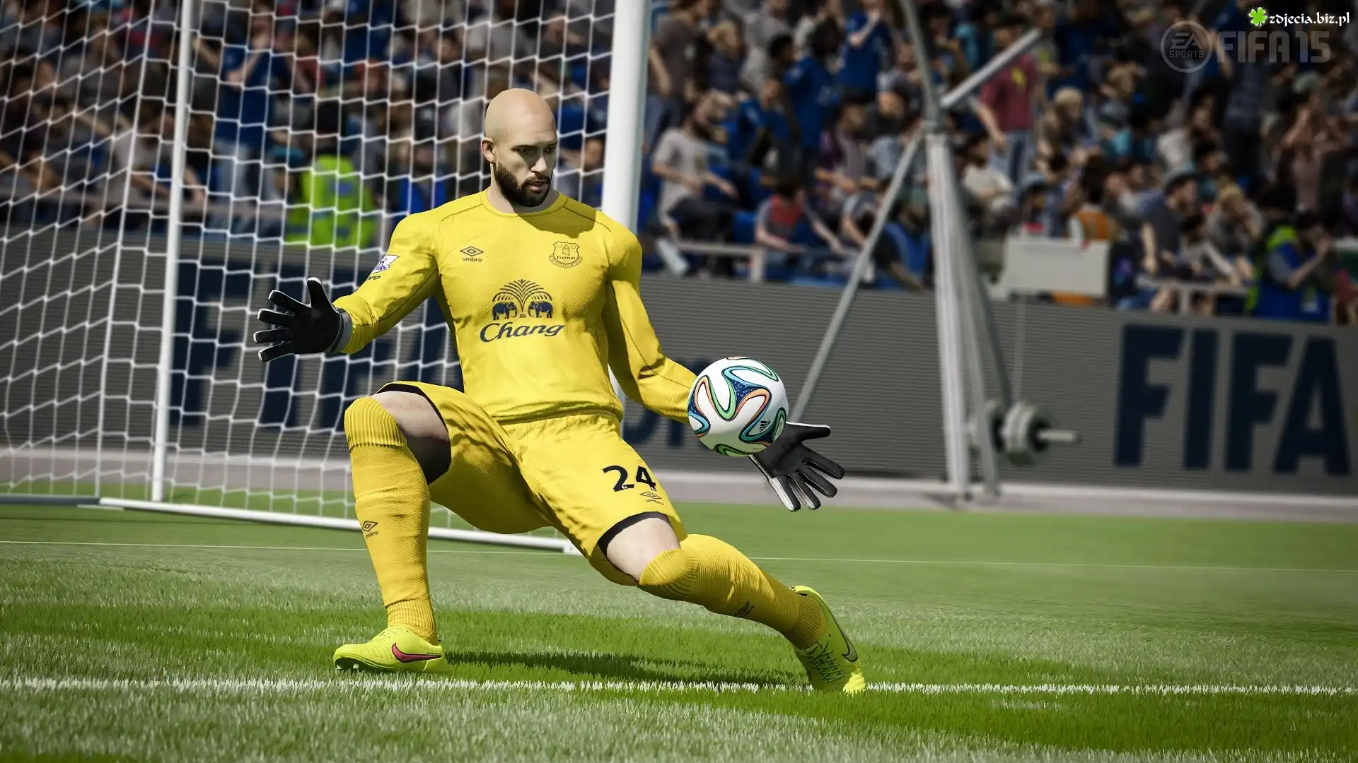 Gra, Fifa 15, Tim Howard