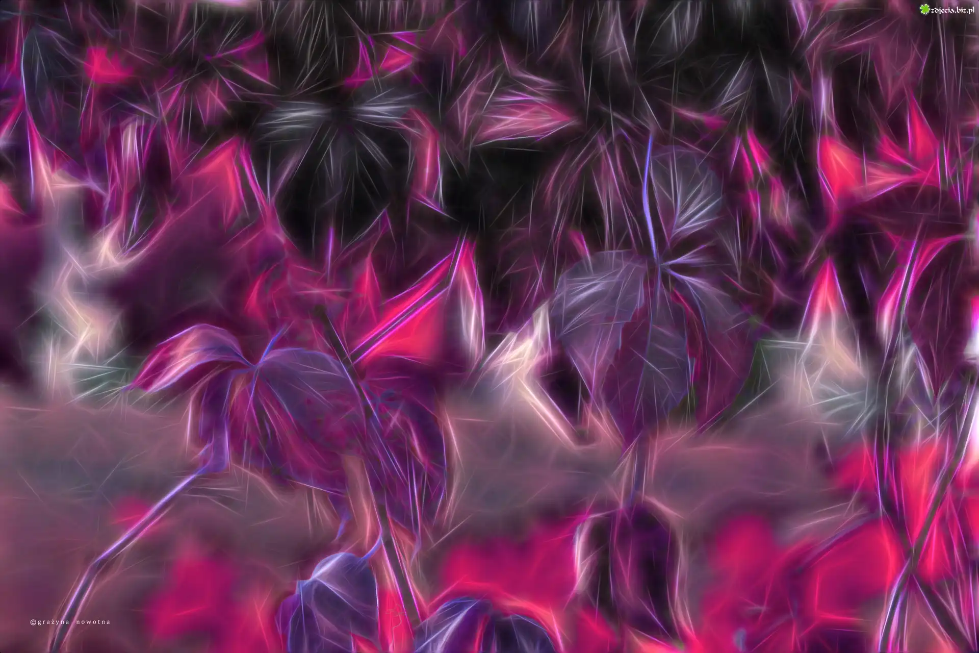 Fractalius, Fioletowe, Liście