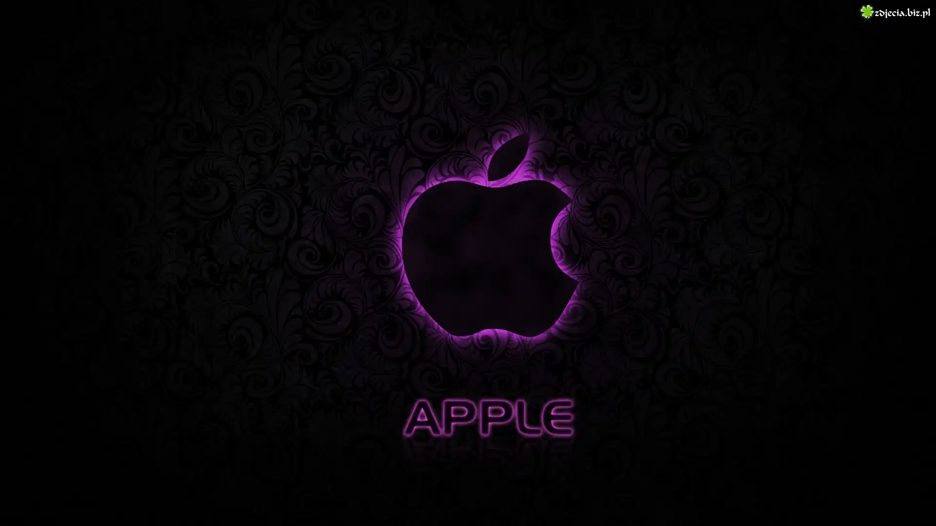 Fioletowy, Zarys, Apple, Czarne, Tło