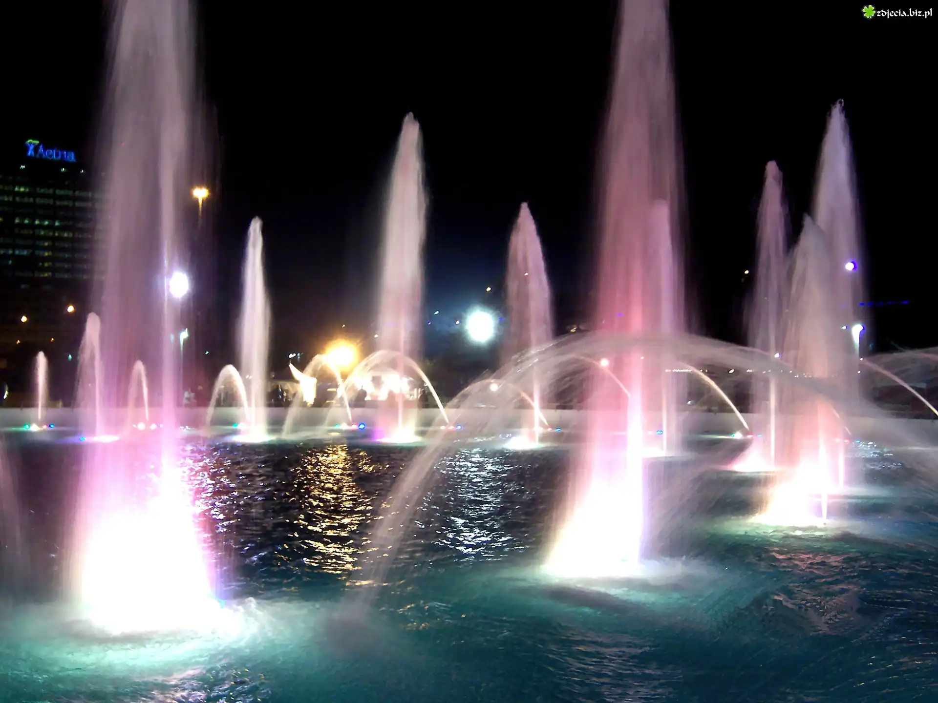 Jacksonville, Florida, Friendship