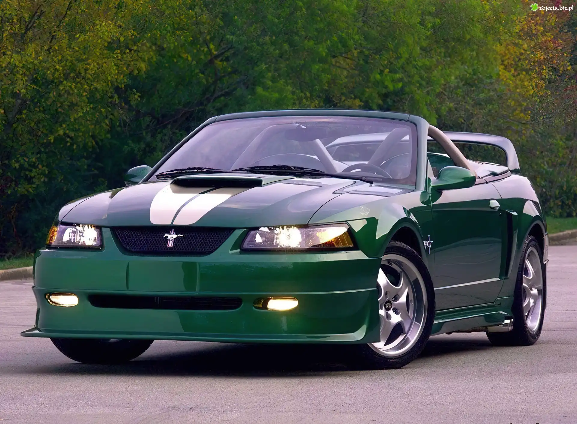 Ford Mustang, Kabriolet, Tuning