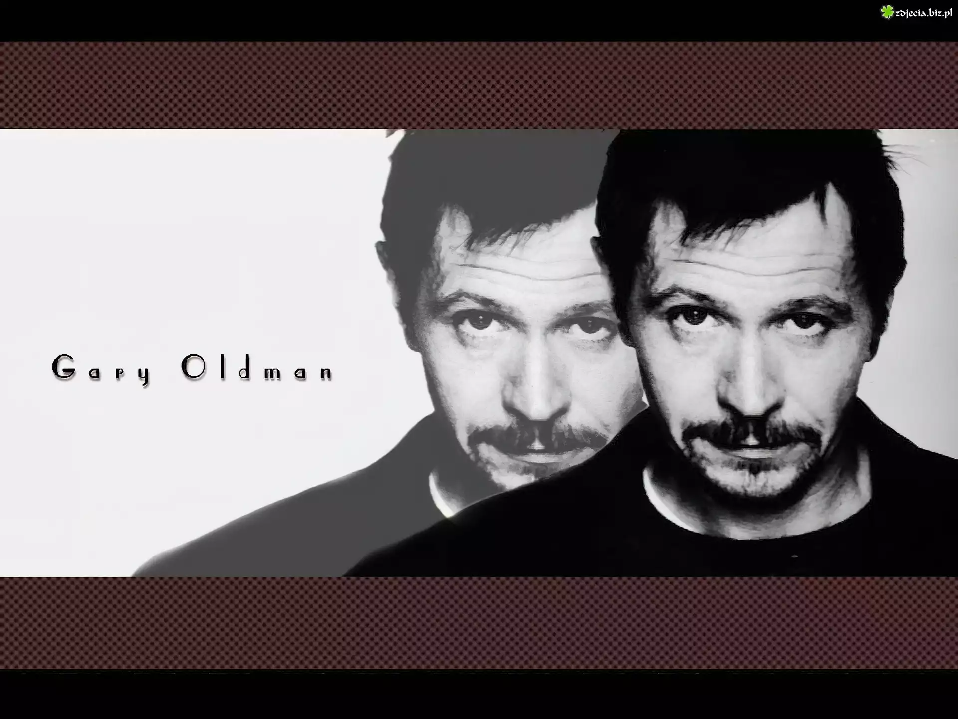 Gary Oldman,ciemne włosy, broda