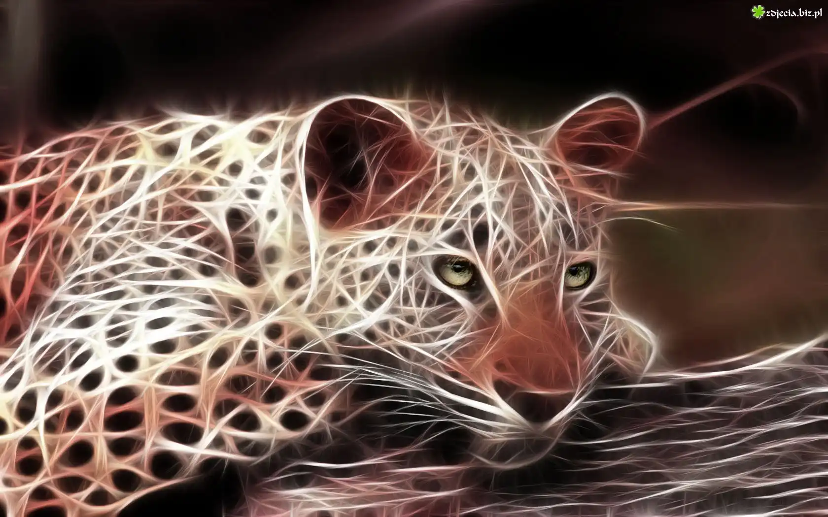 Gepard, Fraktal