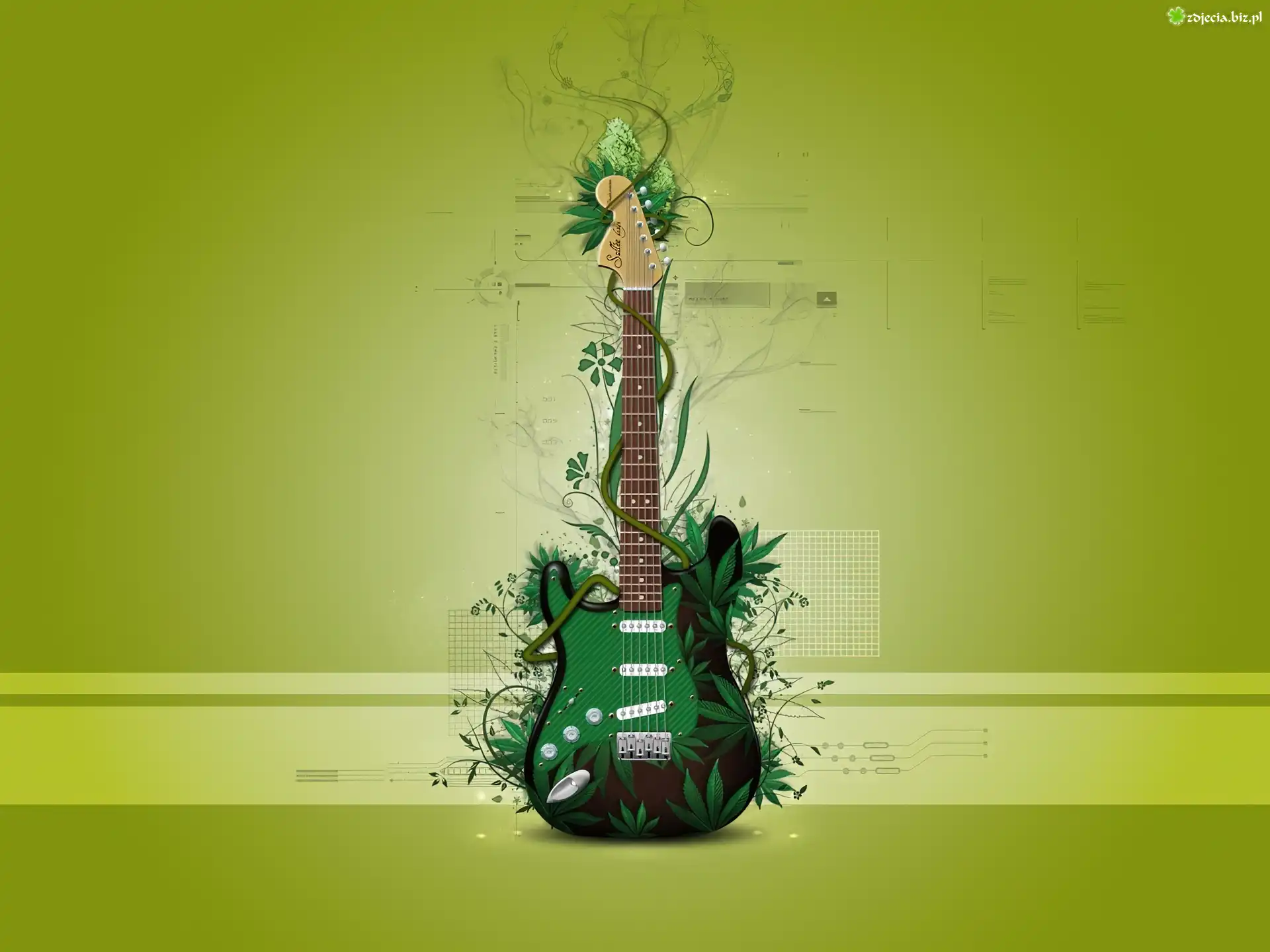 Gitara, Zielone, Liście, Rośliny, Grafika