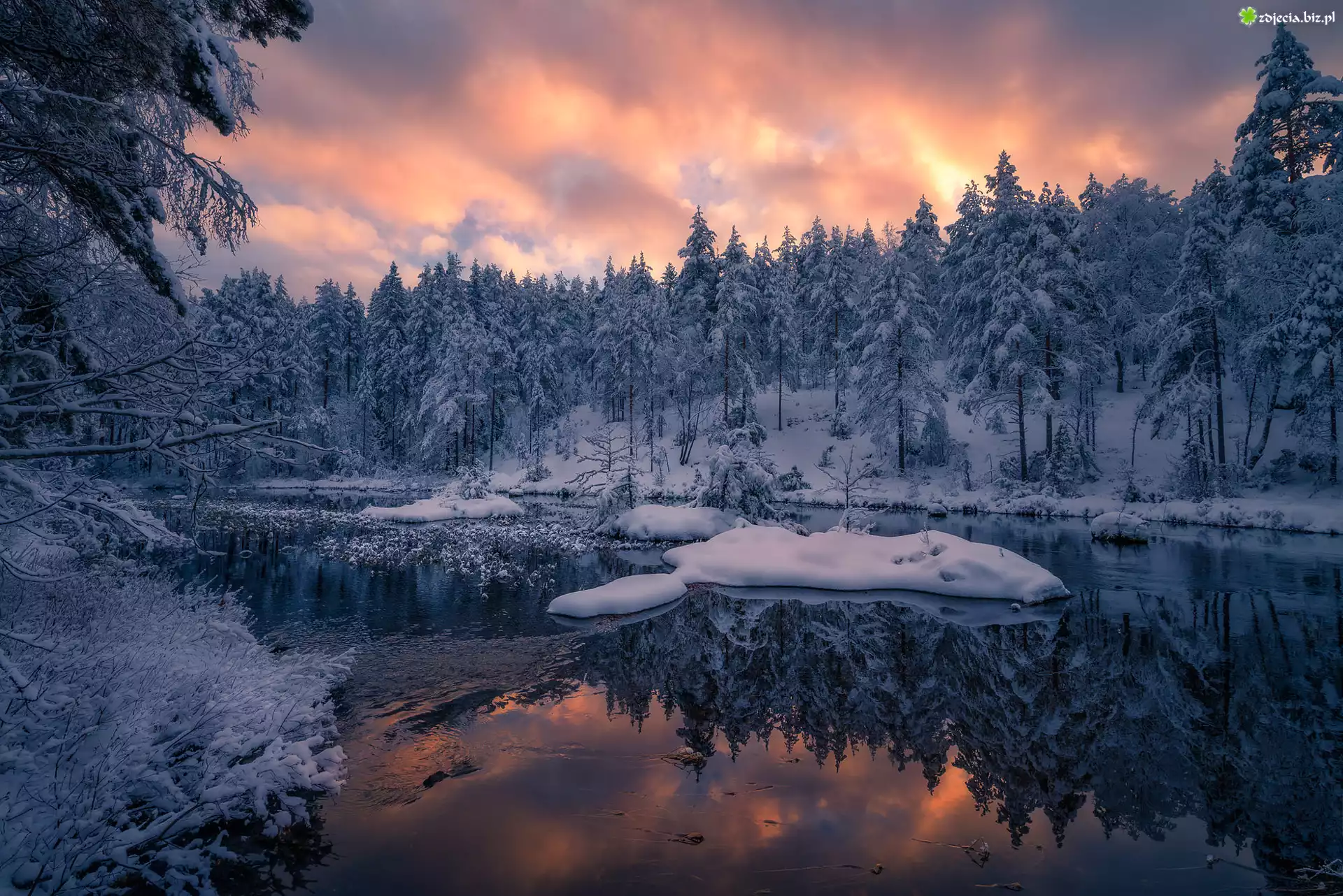 Norwegia, Gmina Ringerike, Jezioro, Zima, Drzewa, Åšnieg