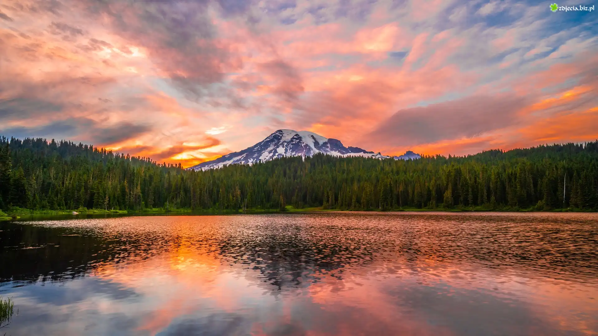 Góra, Stratowulkan Mount Rainier, Jezioro, Reflection Lake, Chmury, Park Narodowy Mount Rainier, Drzewa, Stan Waszyngton, Stany Zjednoczone