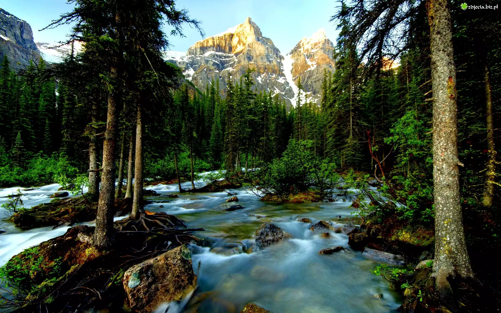 Kanada, Góry, Las, Rzeka,  Park Narodowy Banff