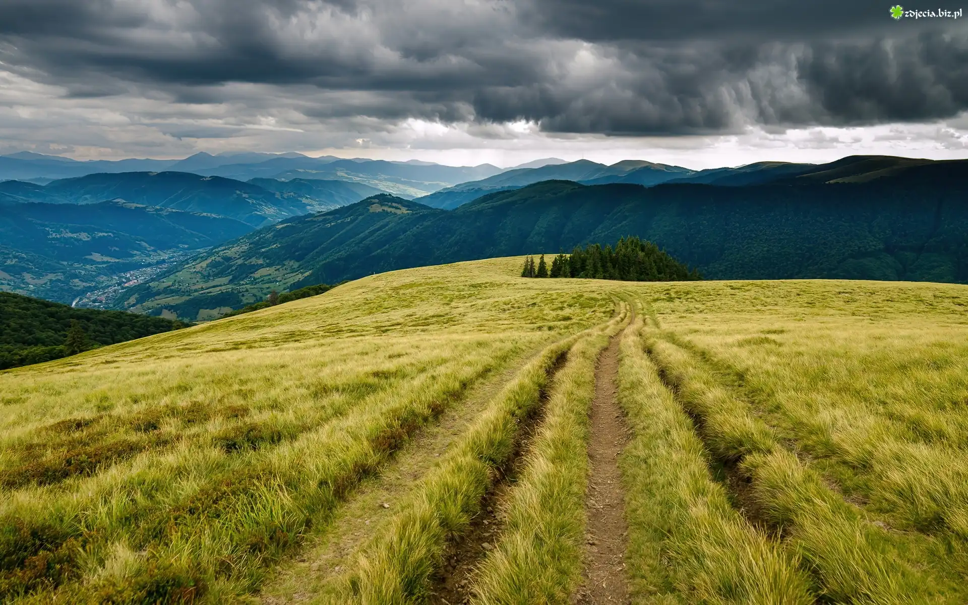 Góry, Lasy, Łąki, Droga, Chmury, Karpaty