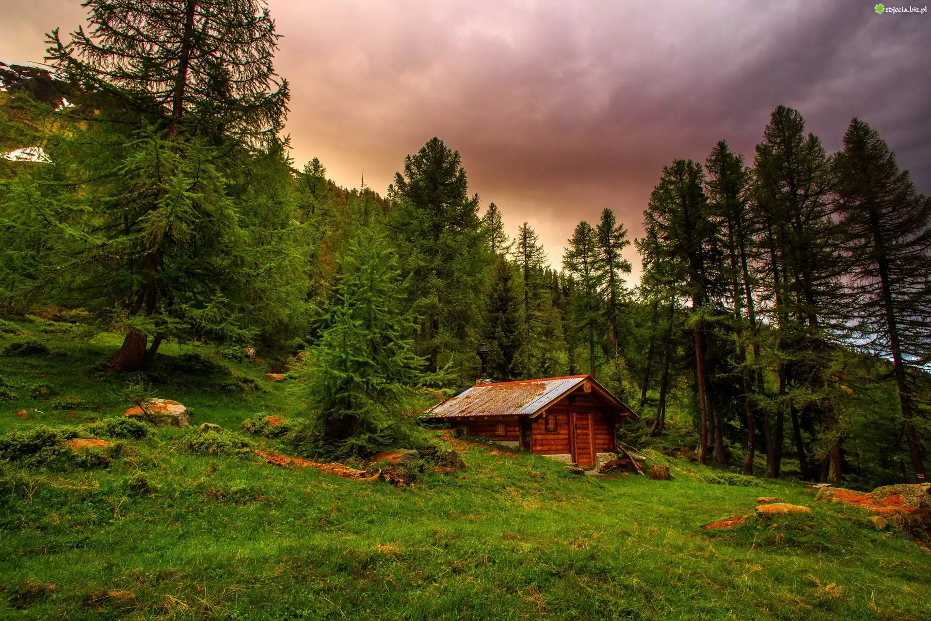 Domek, Góry, Szwajcaria