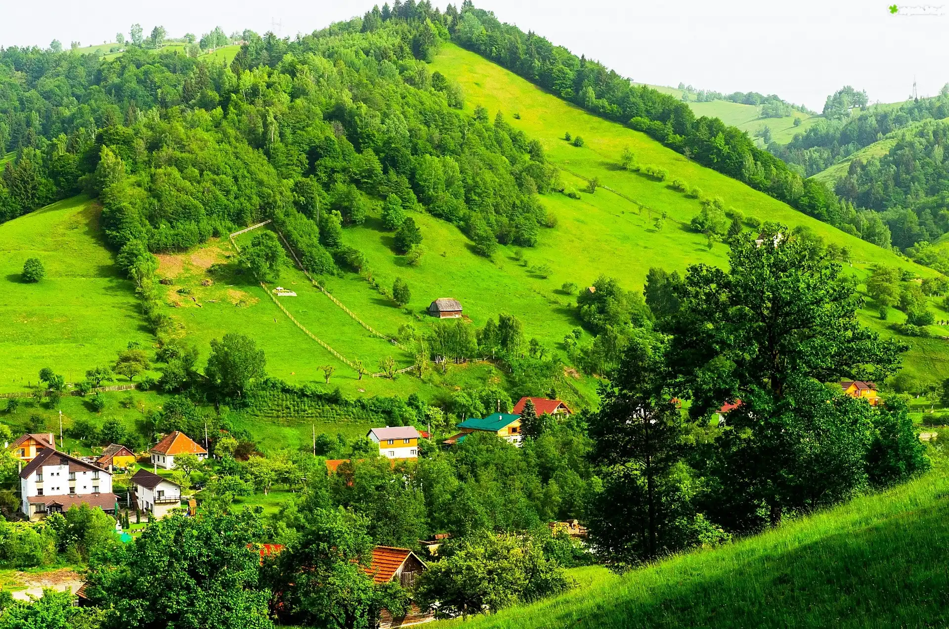 Góry, Lasy, Domy, Norwegia