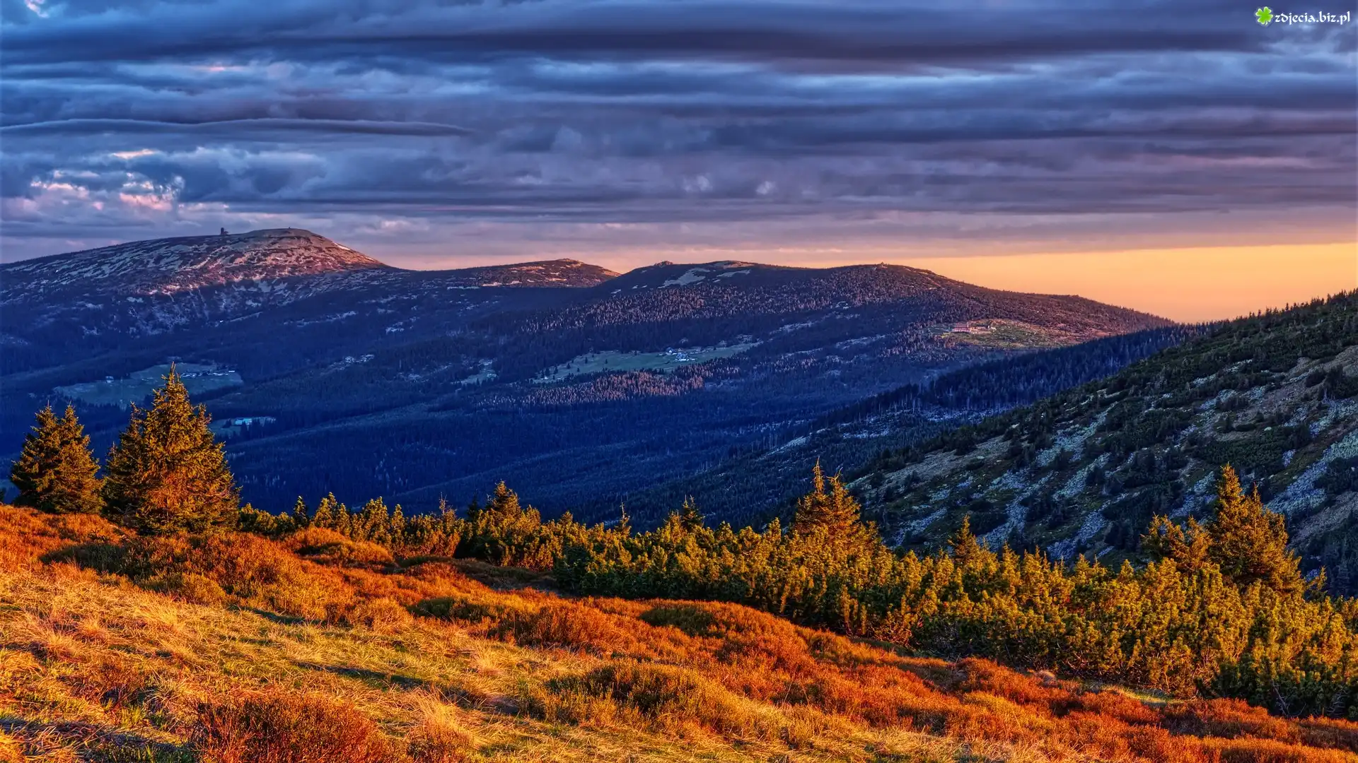 Góry, Karkonosze, Chmury, Drzewa, Rośliny, Polska