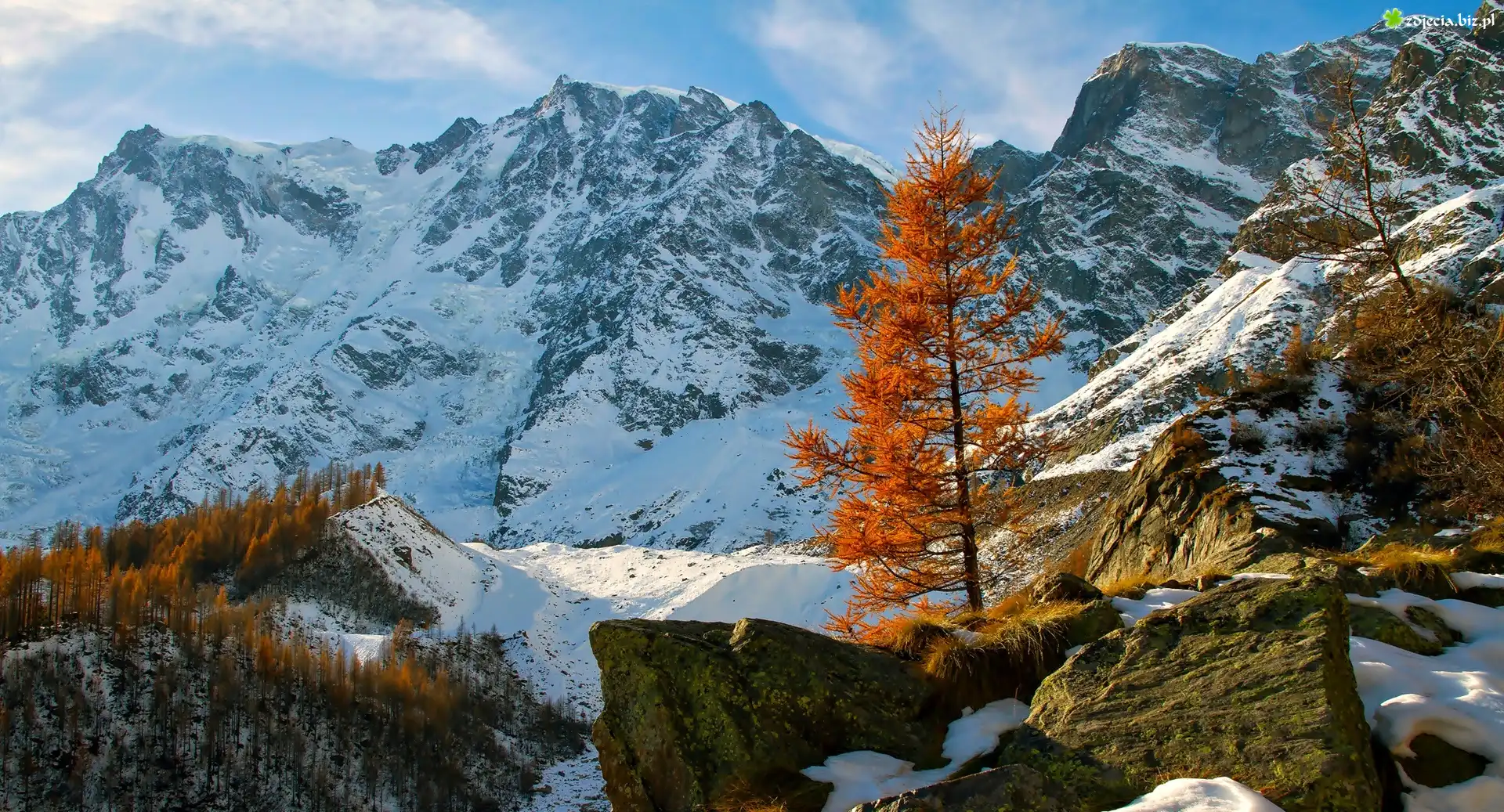 Góry, Śnieg, Kamienie, Skały, Drzewa, Jesień