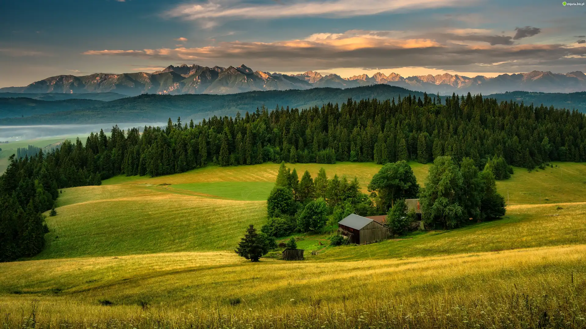 Pole, Las, Drzewa, Góry, Wzgórza, Dom, Chmury, Pieniny, Polska