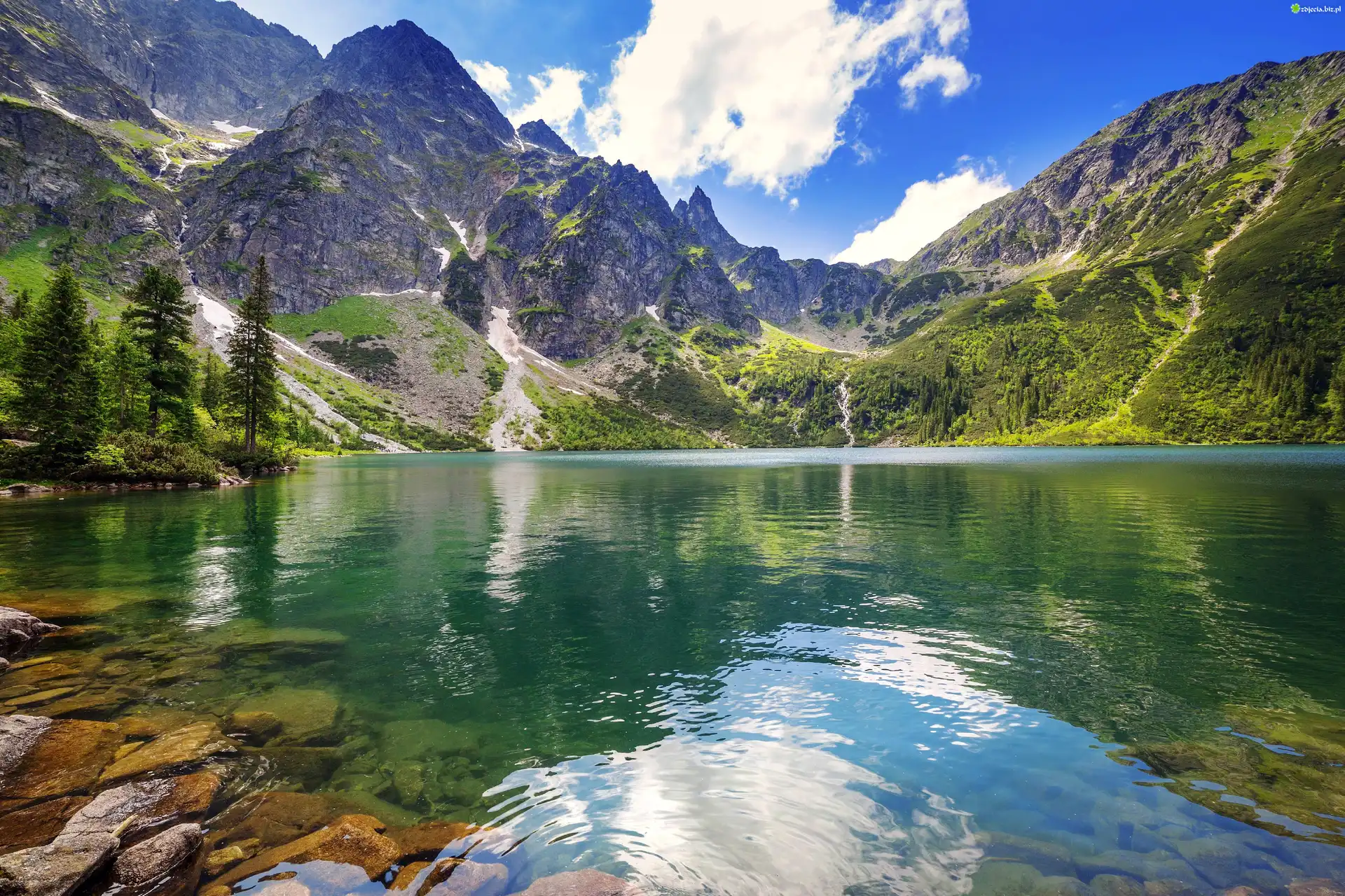 zdj-cie-polska-g-ry-tatry-jezioro-morskie-oko-lato-drzewa