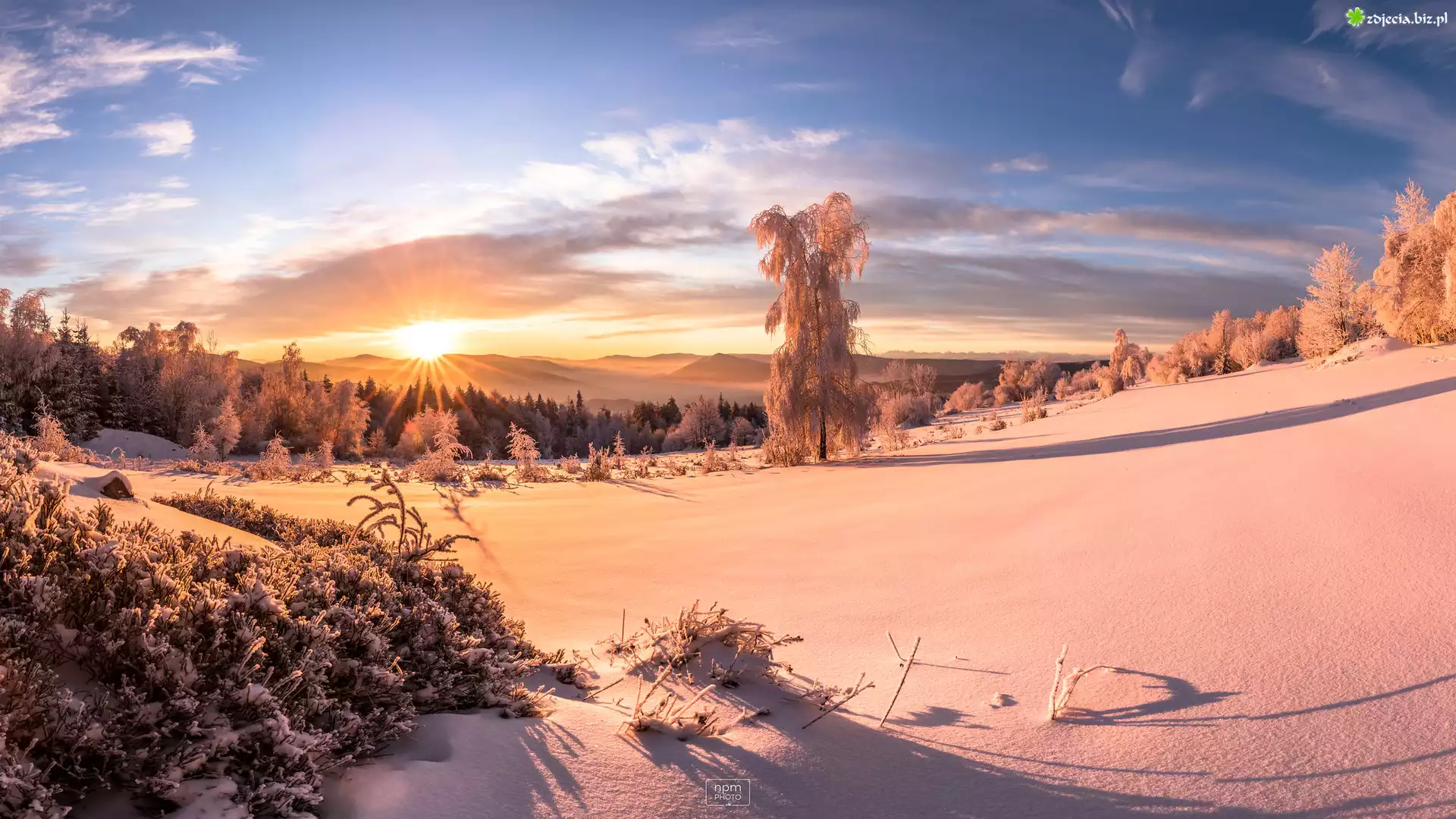 Polska, Góry, Beskidy, Wschód słońca, Zima, Śnieg, Drzewa