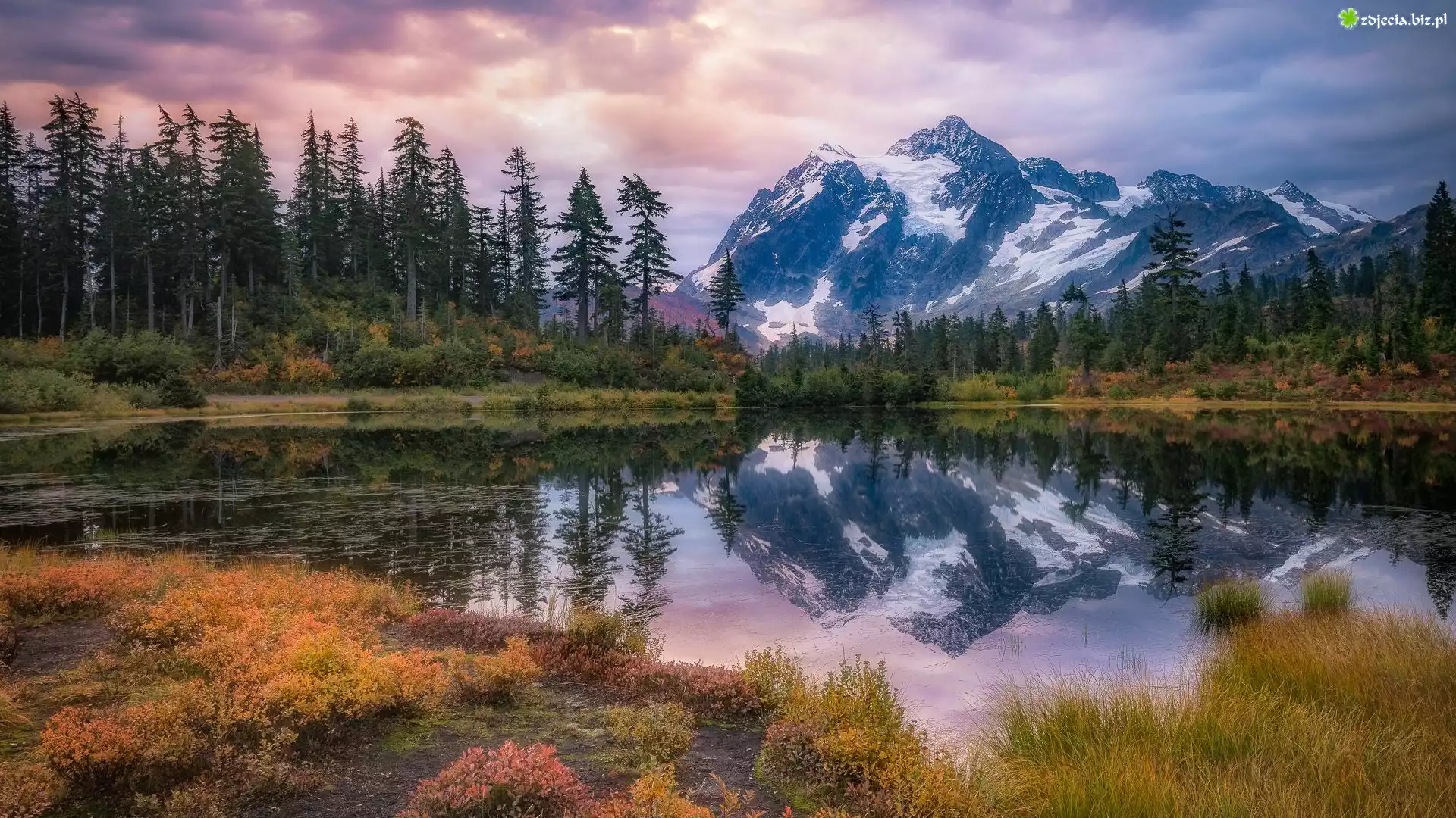 Góry, Góra, Mount Shuksan Drzewa, Jezioro, Picture Lake, Odbicie, Stan Waszyngton, Stany Zjednoczone, Park Narodowy Północnych Gór Kaskadowych