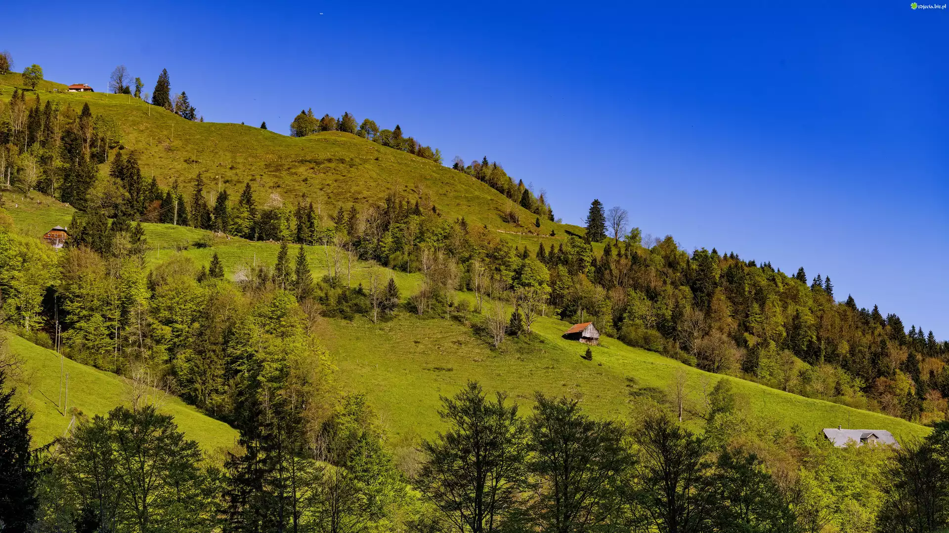 Dom, Drzewa, Wzgórze, Góry, Niebo, Natura