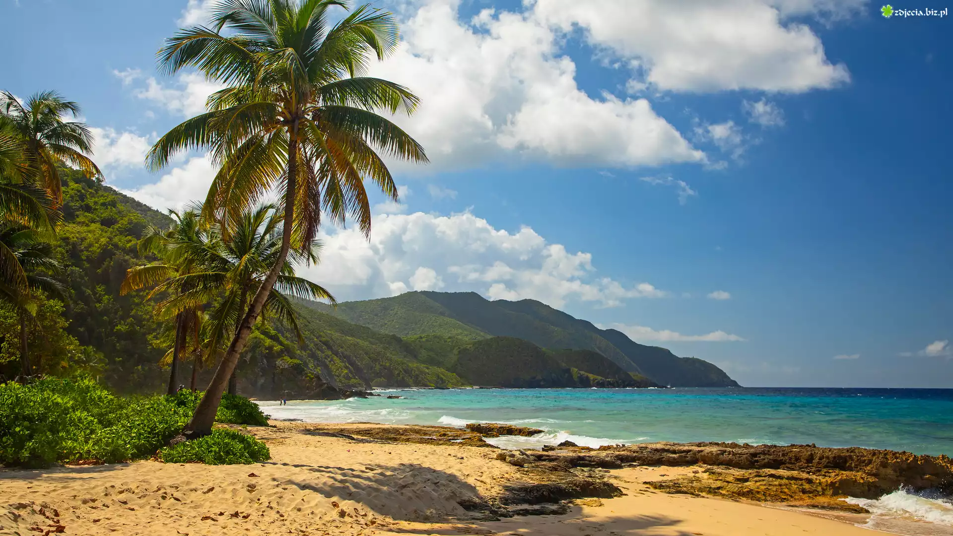 Plaża, Morze, Palmy, Góry