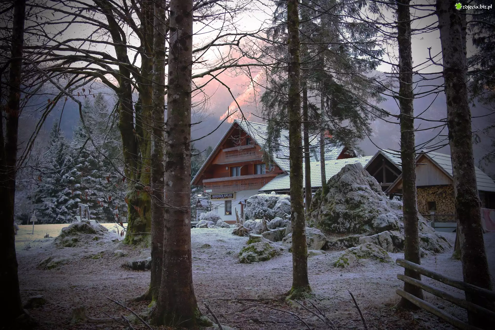 Zima, Słowenia, Bohinj, Domek gościnny Erlah, Gostišče Erlah, Drzewa, Krzewy, Śnieg