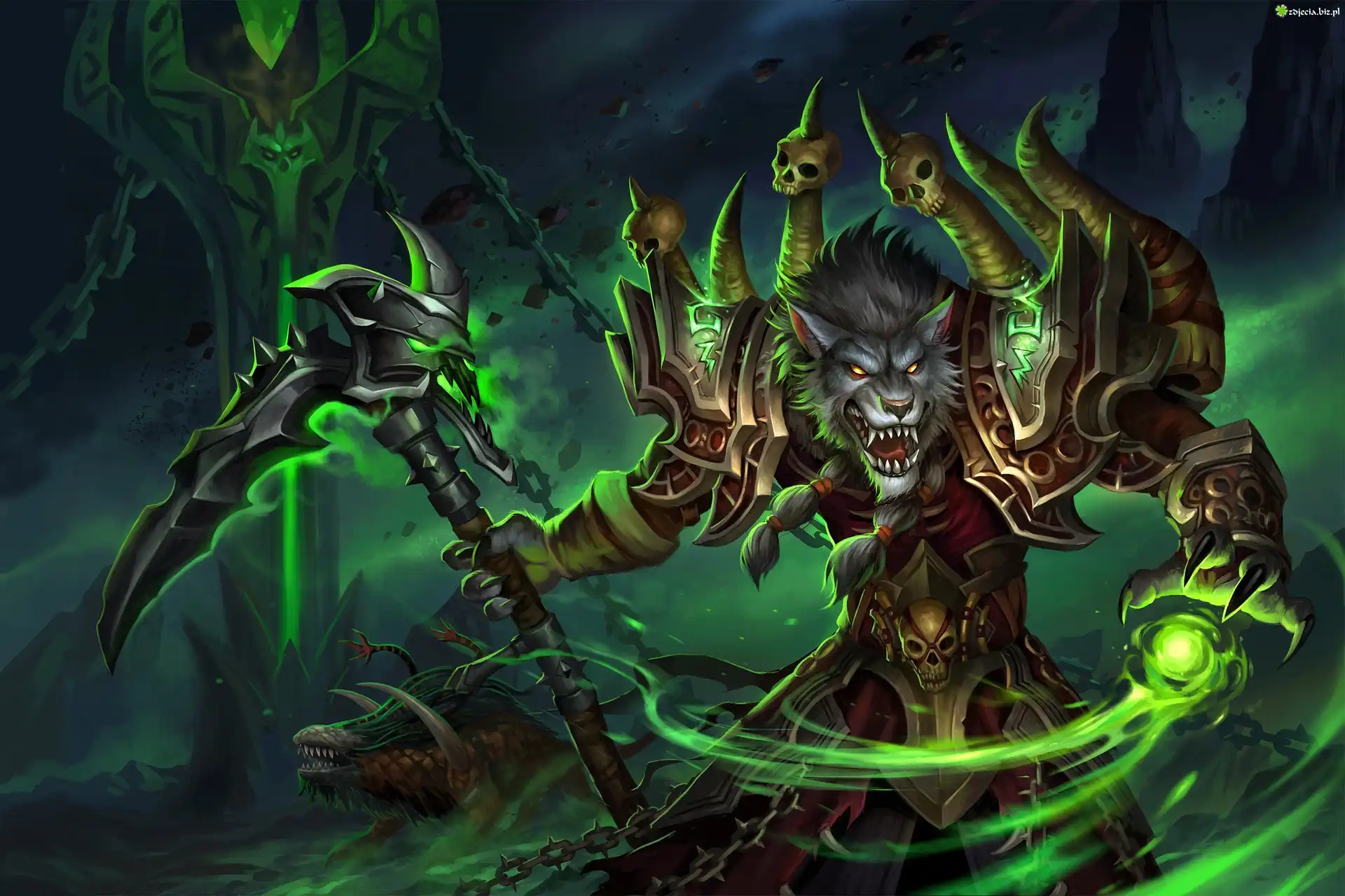 Gra, World of Warcraft, Warlock