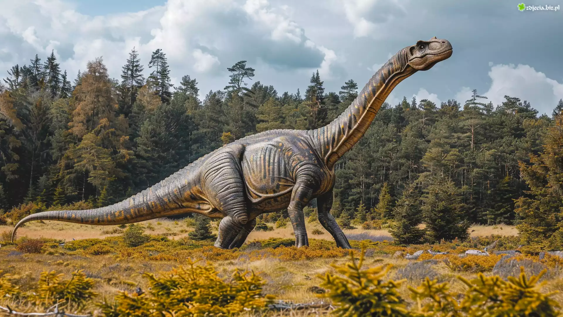 Dinozaur, Brachiozaur, Drzewa, Grafika