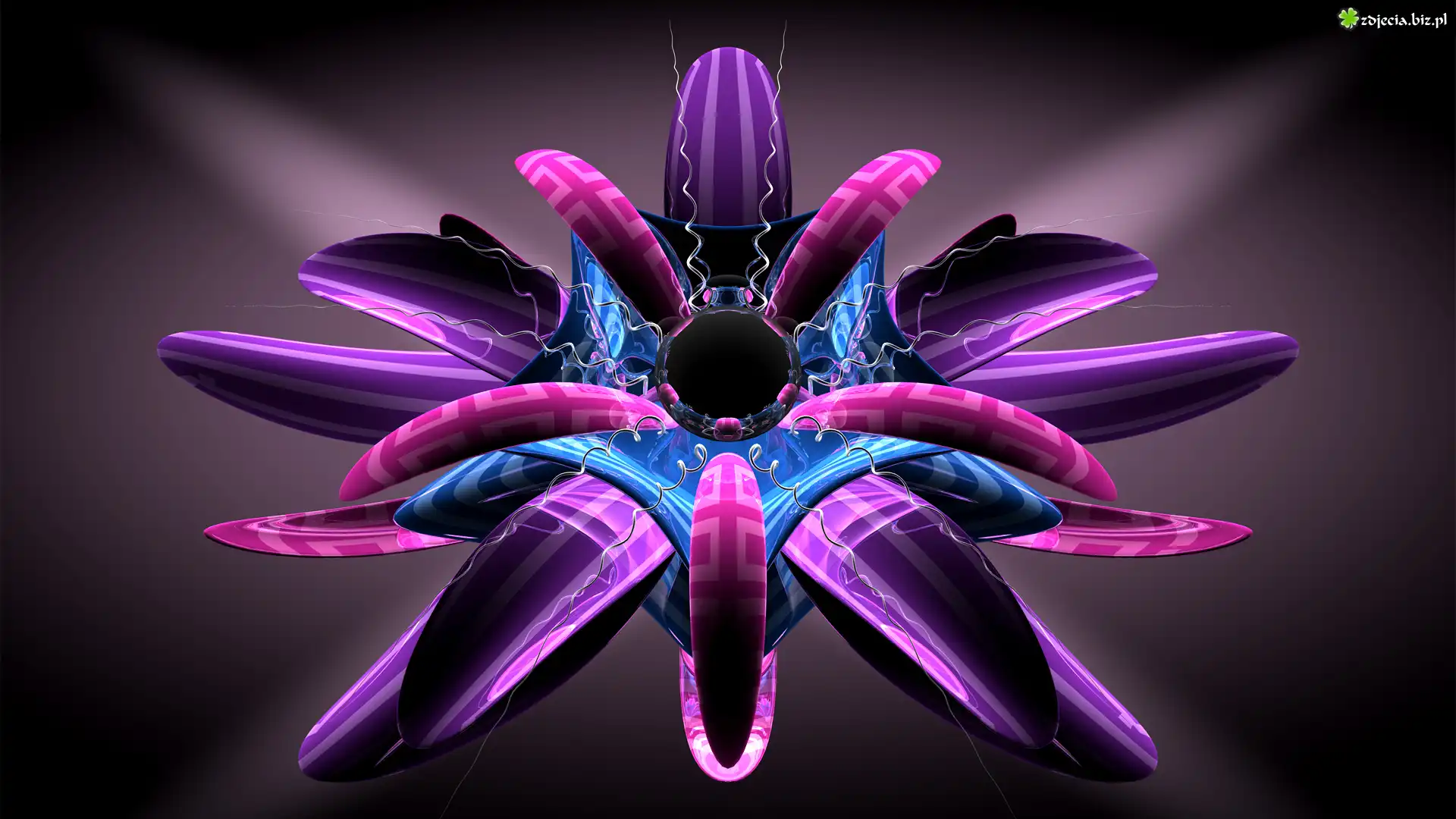 Grafika 3D, Fioletowy, Kwiat