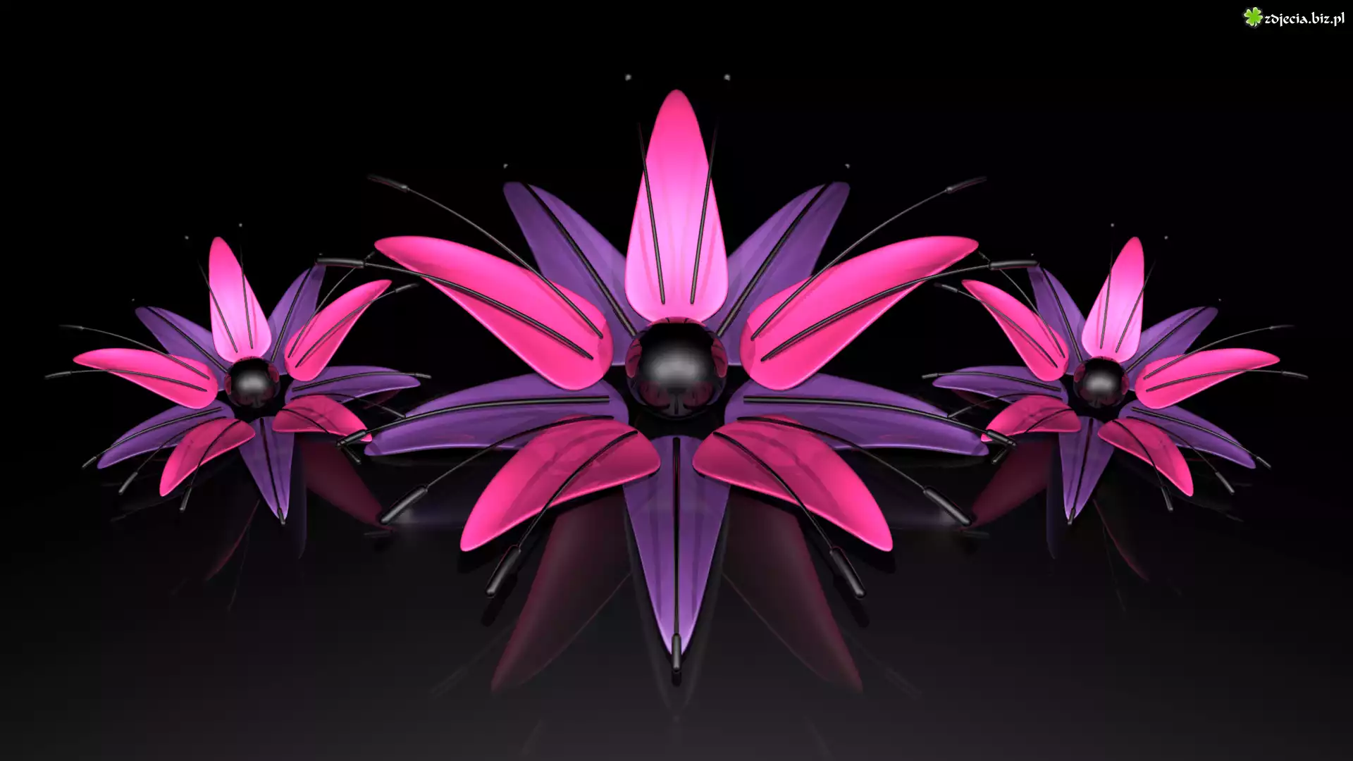 Grafika 3D, Trzy, Kwiaty
