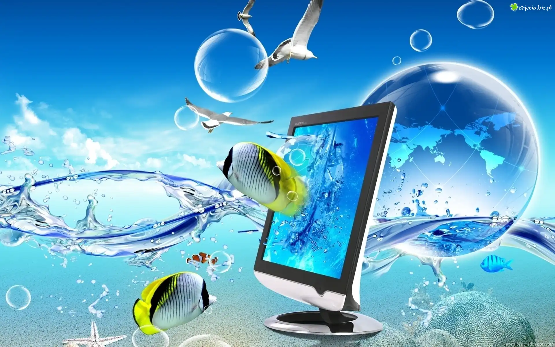 Grafika, 4D, Efekt, Woda, Monitor