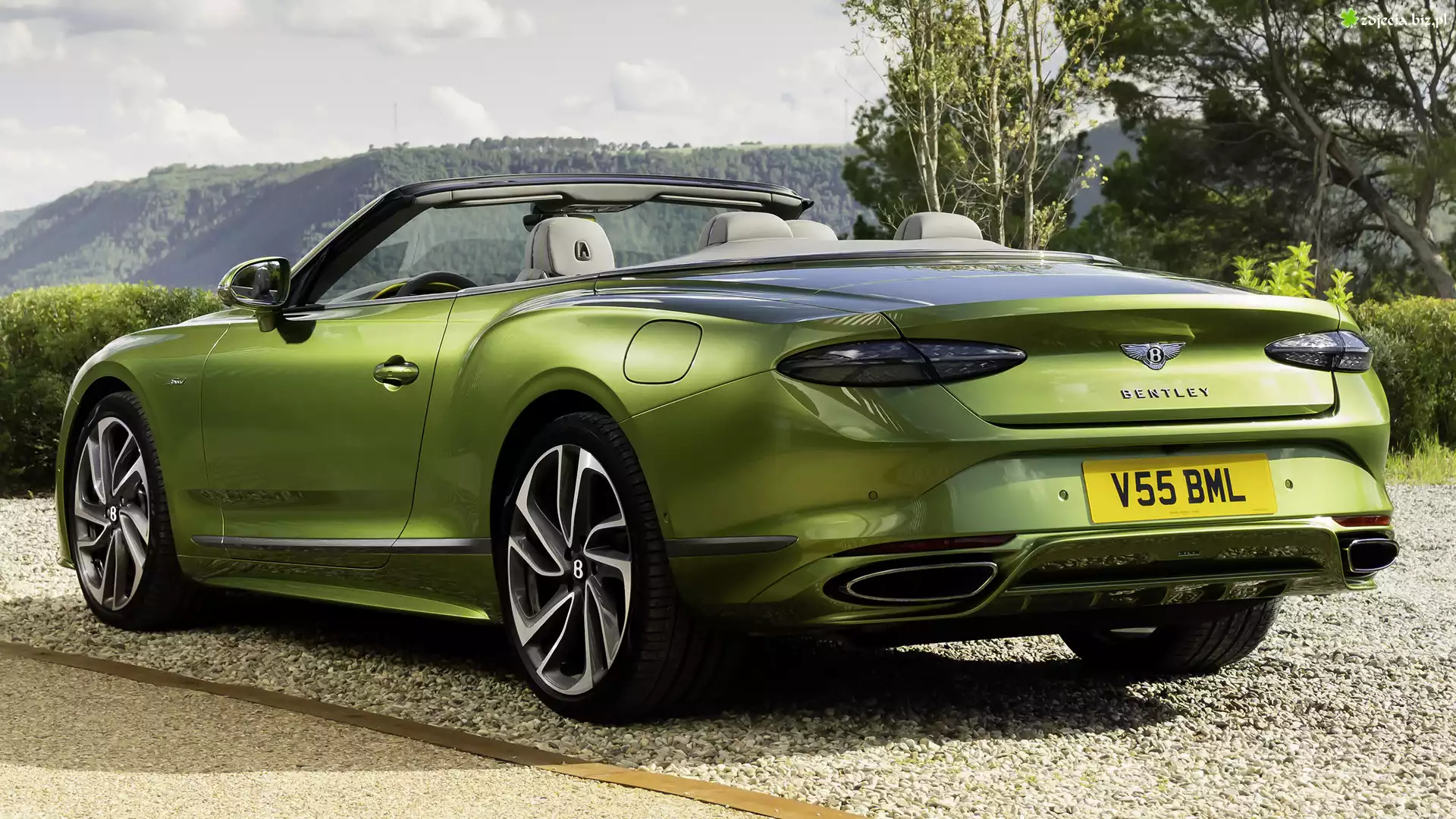 Zielony, Bentley Continental, GT, Kabriolet, Tył