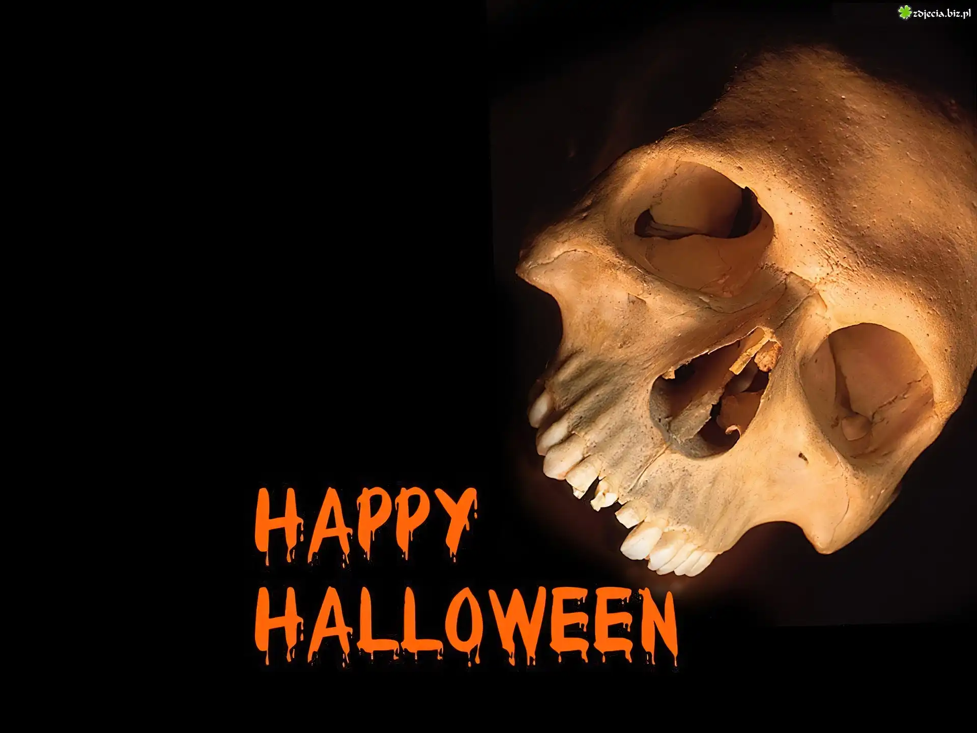 Halloween,czaszka