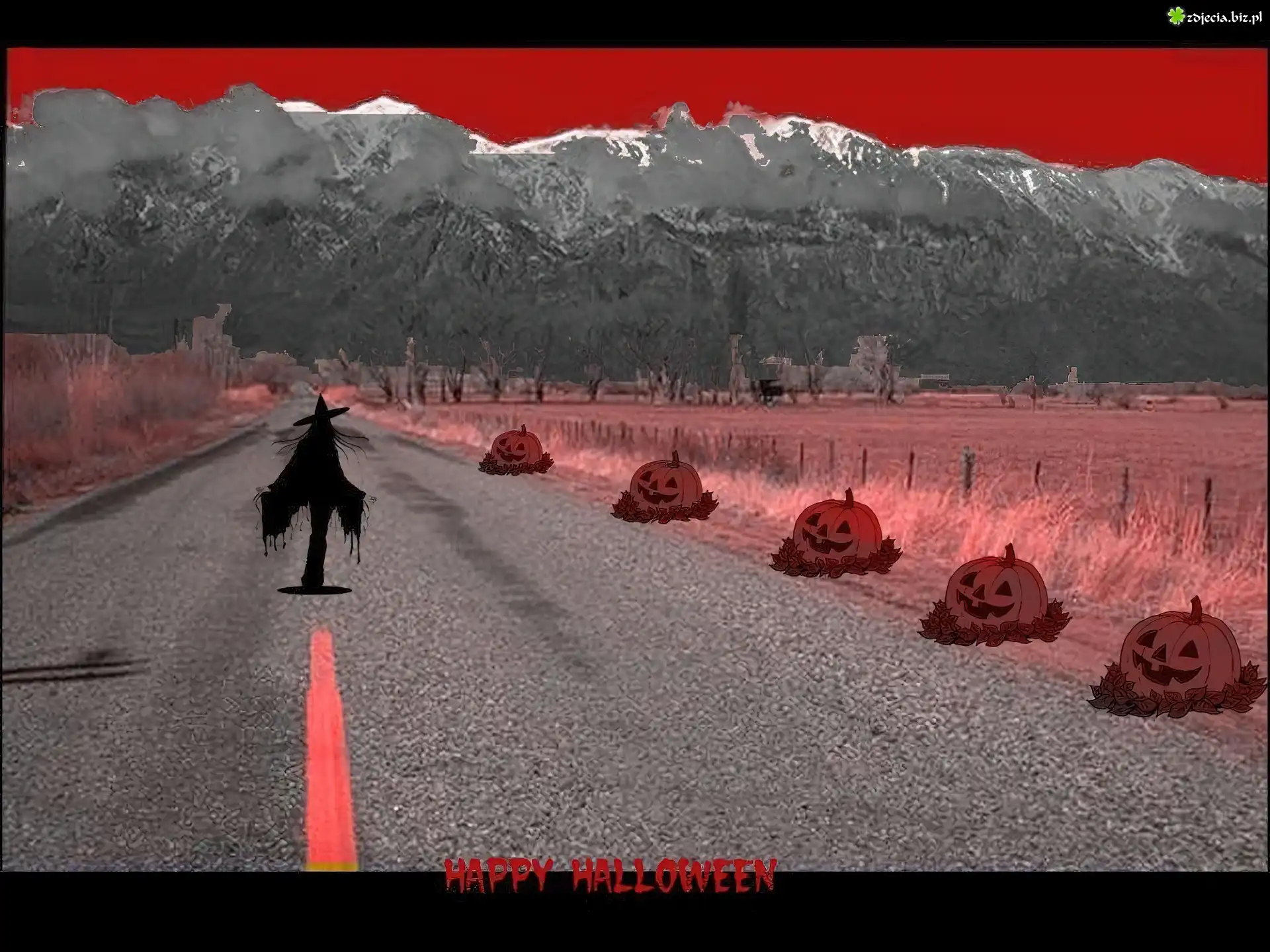 Halloween,droga