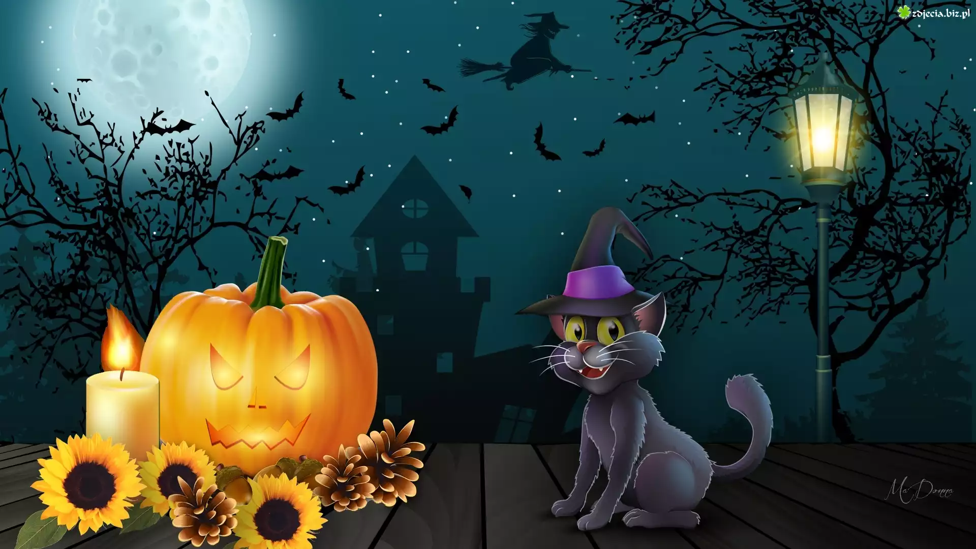 Halloween, Kot, Dynia, Latarnia