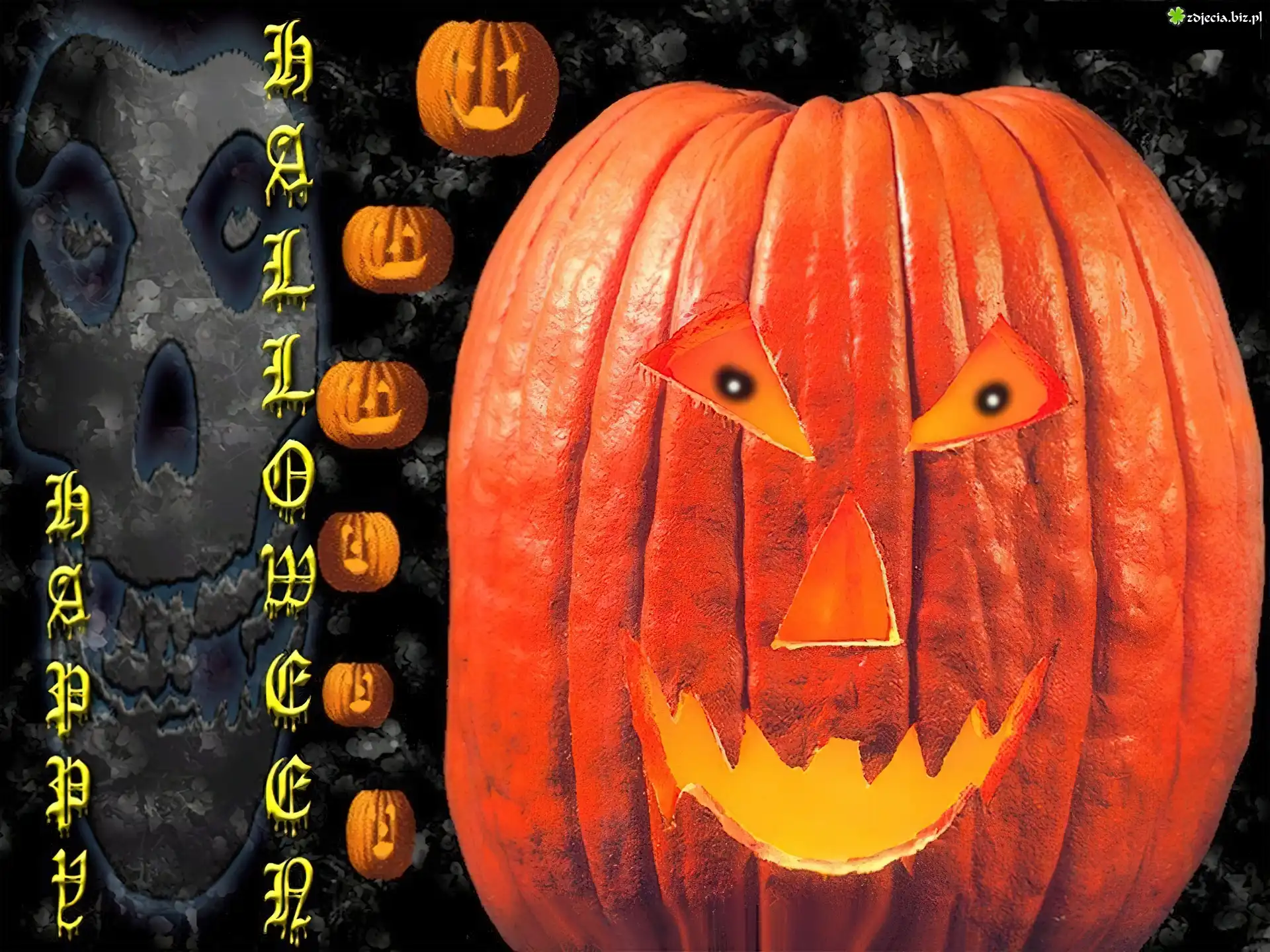 Halloween,dynie