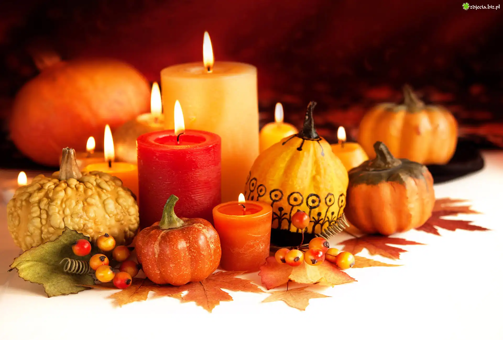 Halloween, Åšwiece, Dynie, Kompozycja