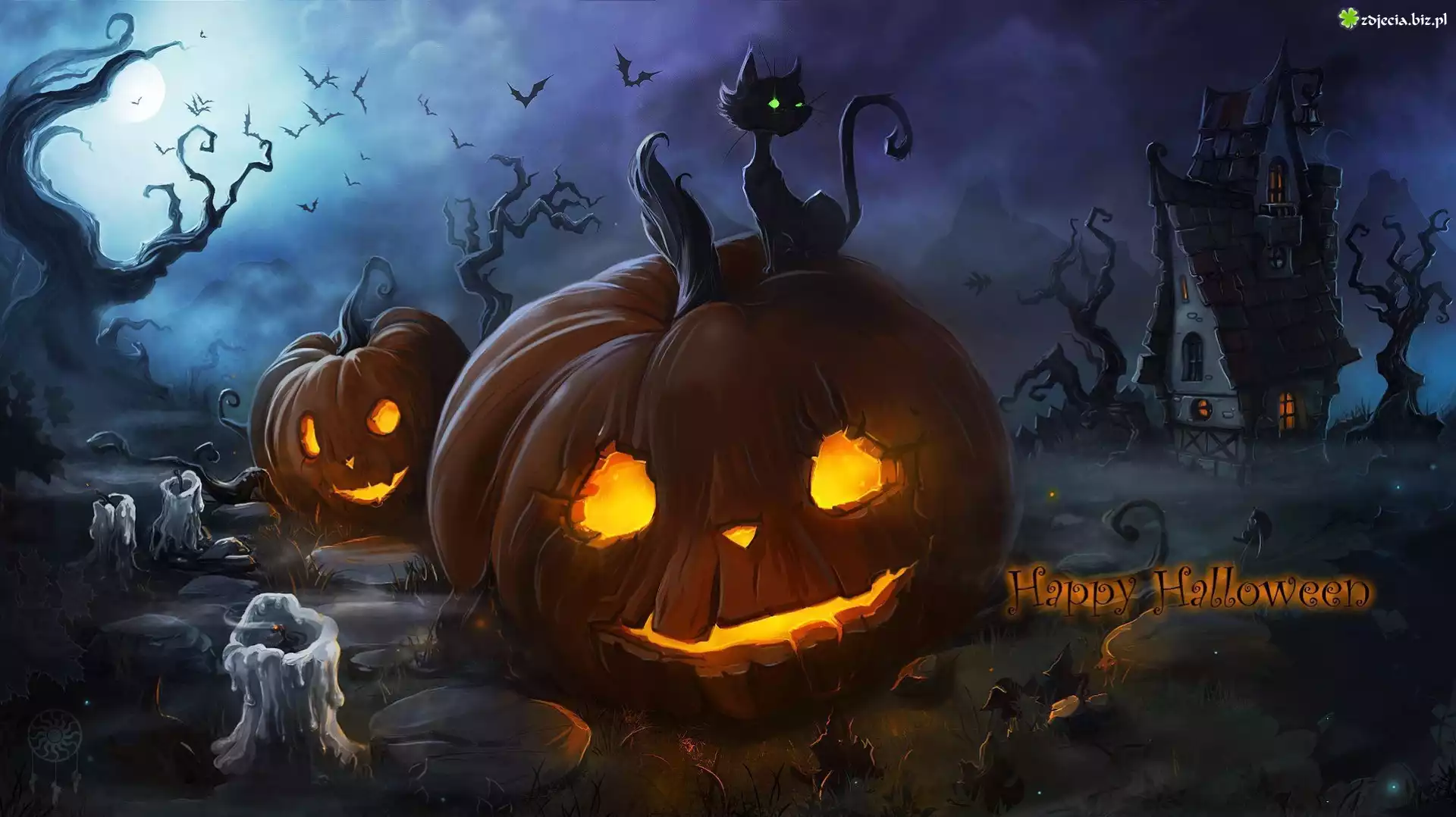 Halloween, Dynie, Kot, Światło