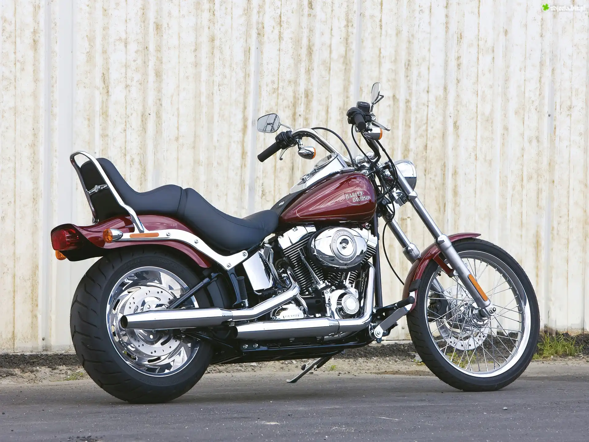 Harley Davidson Softail Custom, Tylna, Lampa