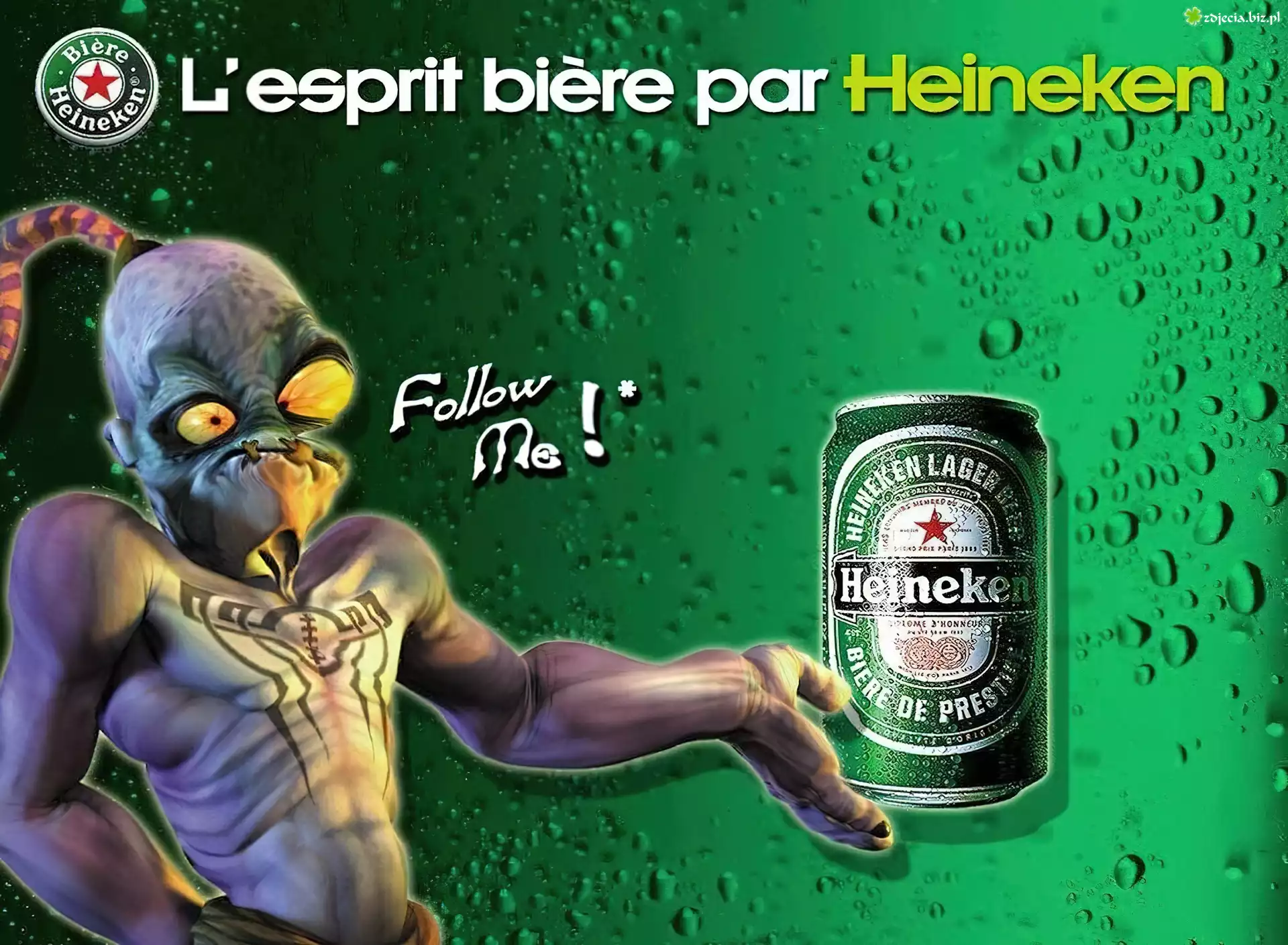 Piwo, Heineken, Puszka