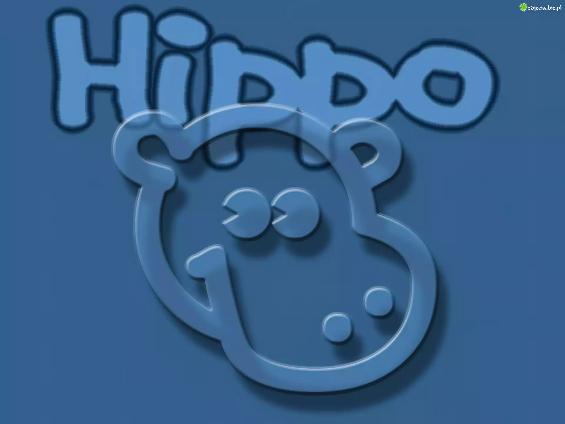 Hippo