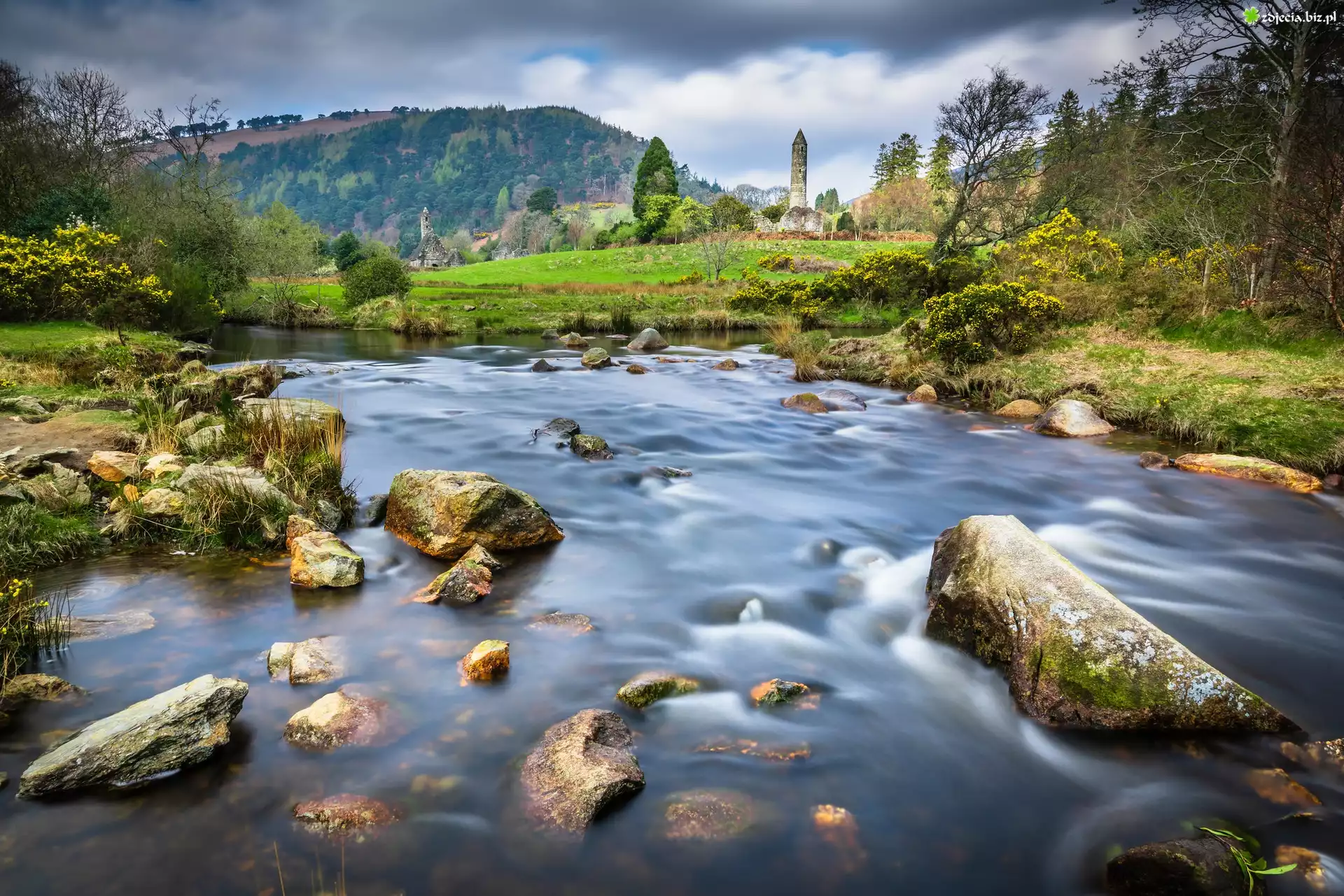 Rzeka Poulanass, Kamienie, Wieże, Dolina Glendalough, Hrabstwo Wicklow, Irlandia