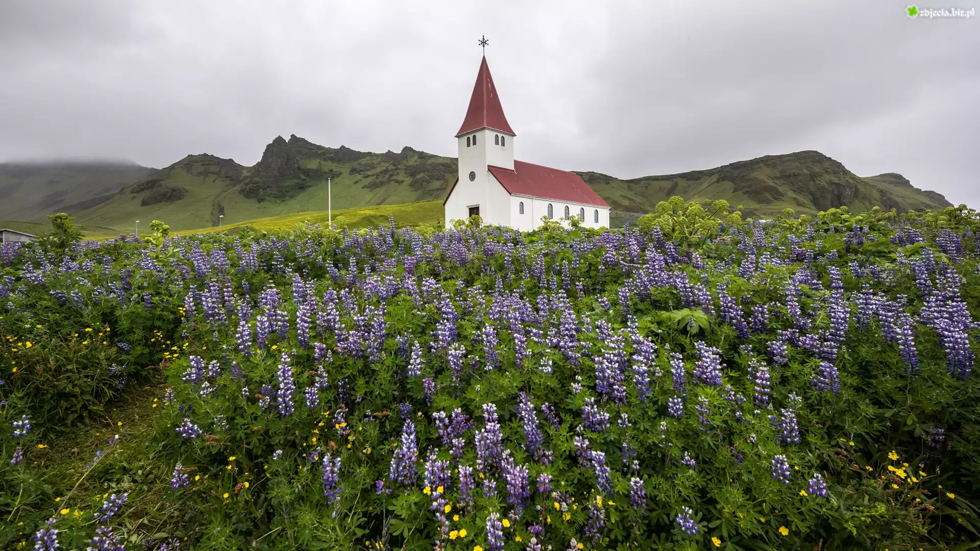Kościół, Łubin, Góry, Miejscowość Vik i Myrdal, Gmina Myrdalshreppur, Islandia