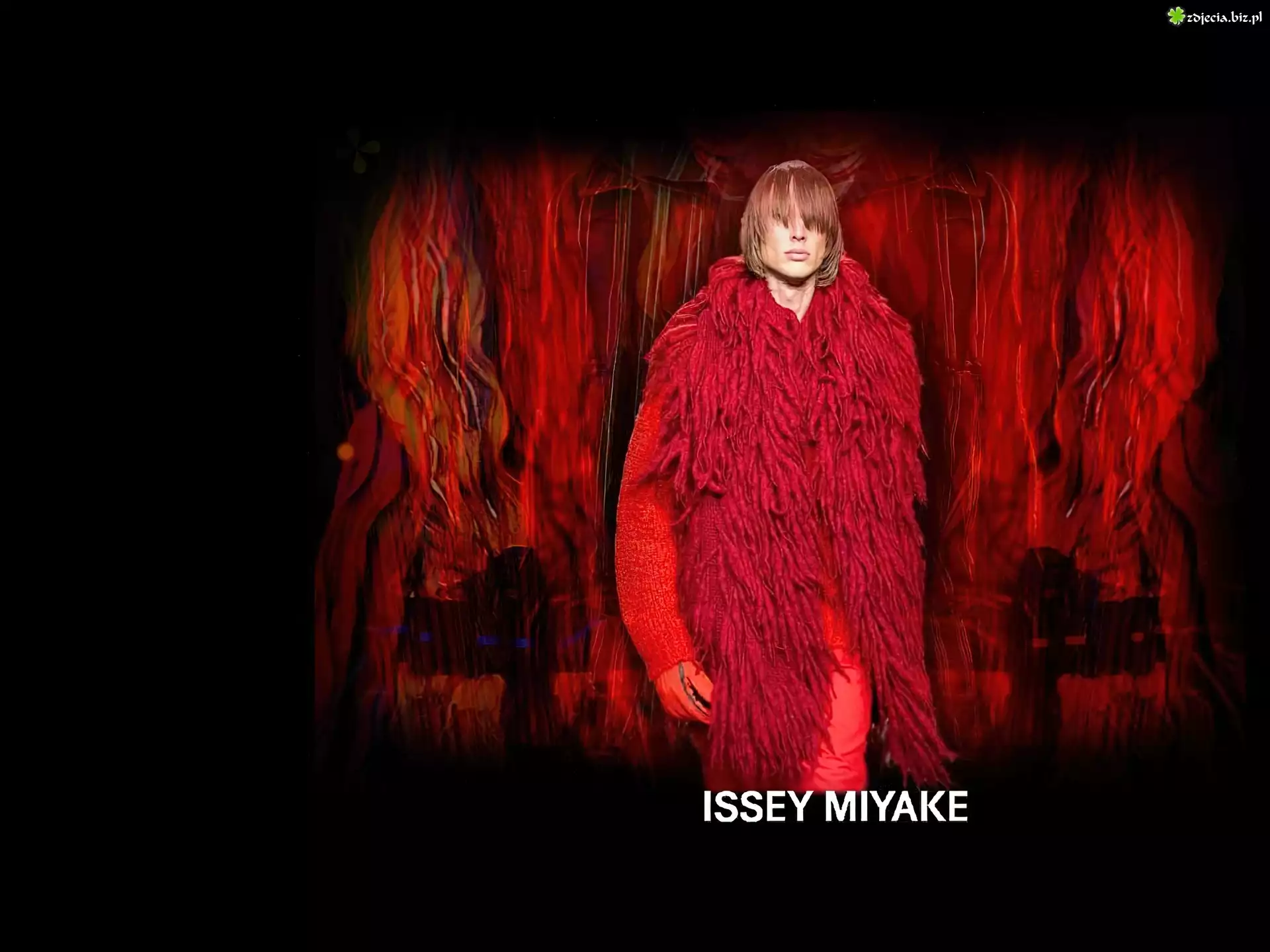 Issey Miyake, mężczyzna, szal, sweter