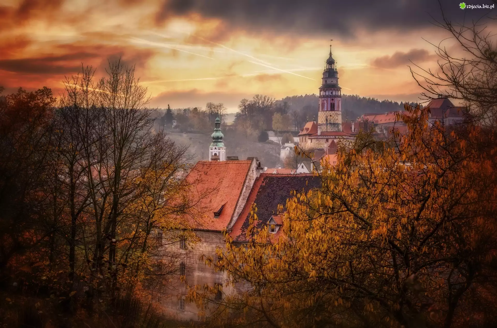 Jesień, Drzewa, Mgła, Domy, Kościół