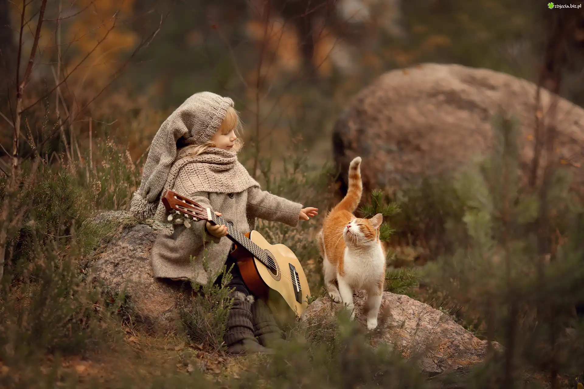 Jesień, Dziewczynka, Gitara, Kot, Kamienie