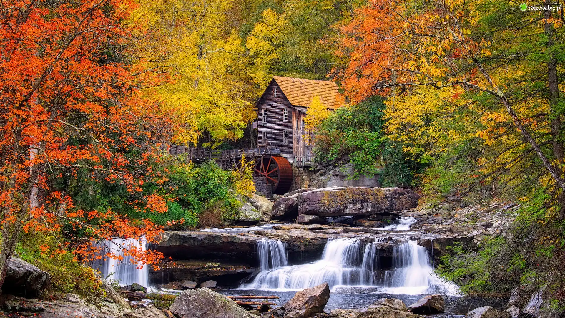 Jesień, Drzewa, Rzeka, Skały, Młyn wodny, Glade Creek Grist Mill, Park Babcock State, Wirginia Zachodnia, Stany Zjednoczone