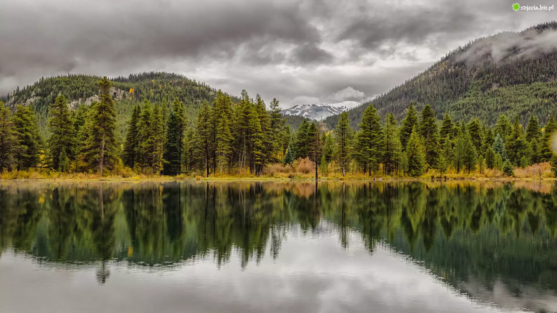 Jesień, Góry, Skaliste, Jezioro, Officers Gulch Pond, Kolorado, Stany Zjednoczone