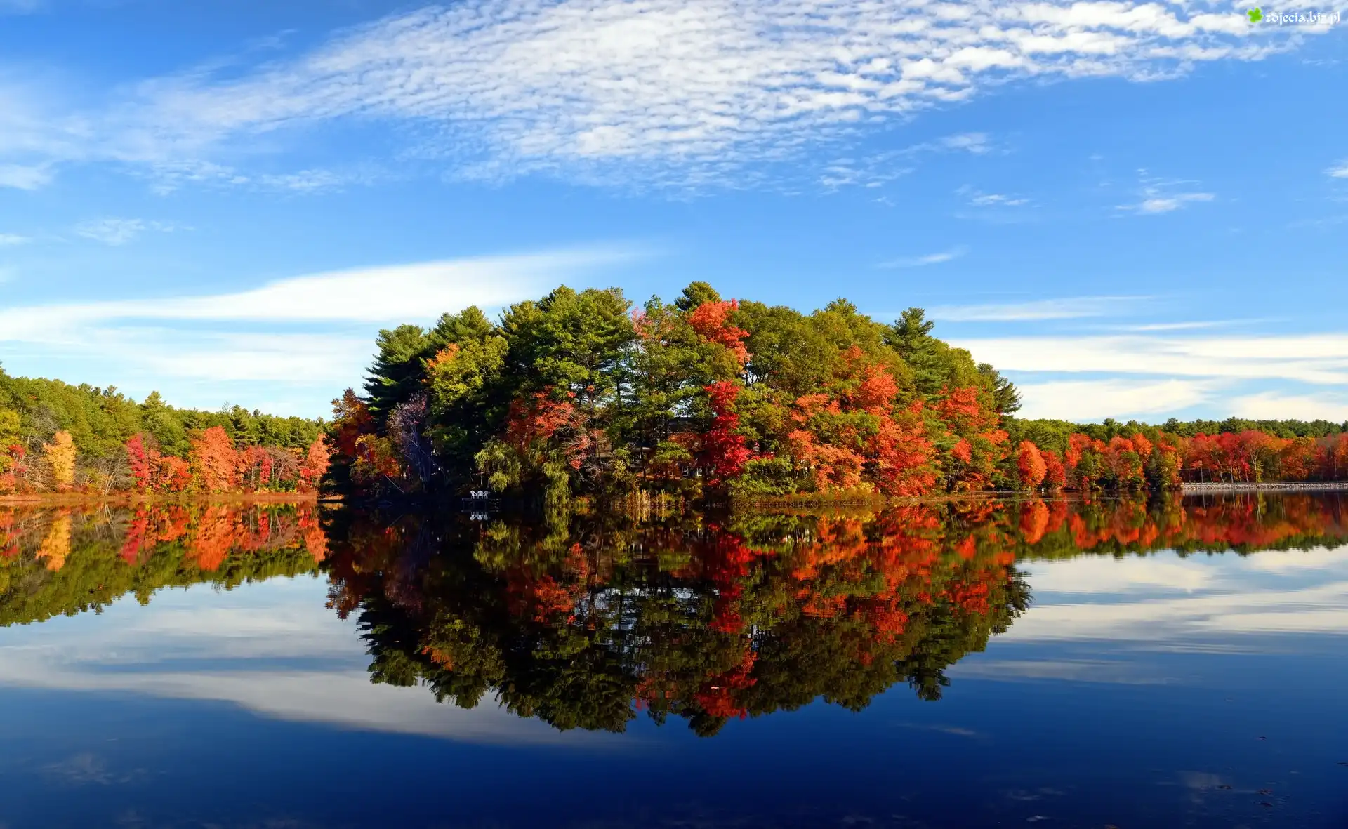 Stany Zjednoczone, Stan Massachusetts, Walpole, jezioro Turner Pond, Drzewa, Jesień