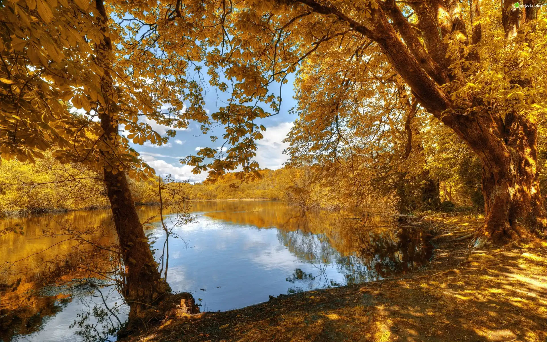 Park, Jeziorko, Jesień
